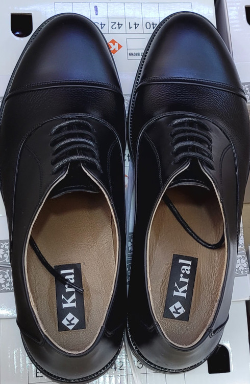 ارسال رایگان